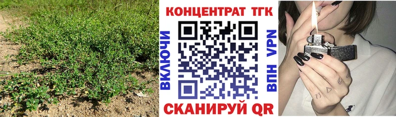 ТГК концентрат  где найти наркотики  Горнозаводск 